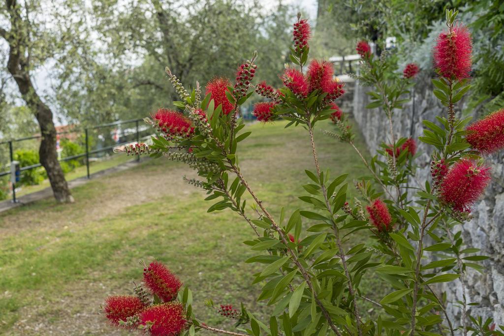 Monja Camping Village Brenzone sul Garda Eksteriør bilde