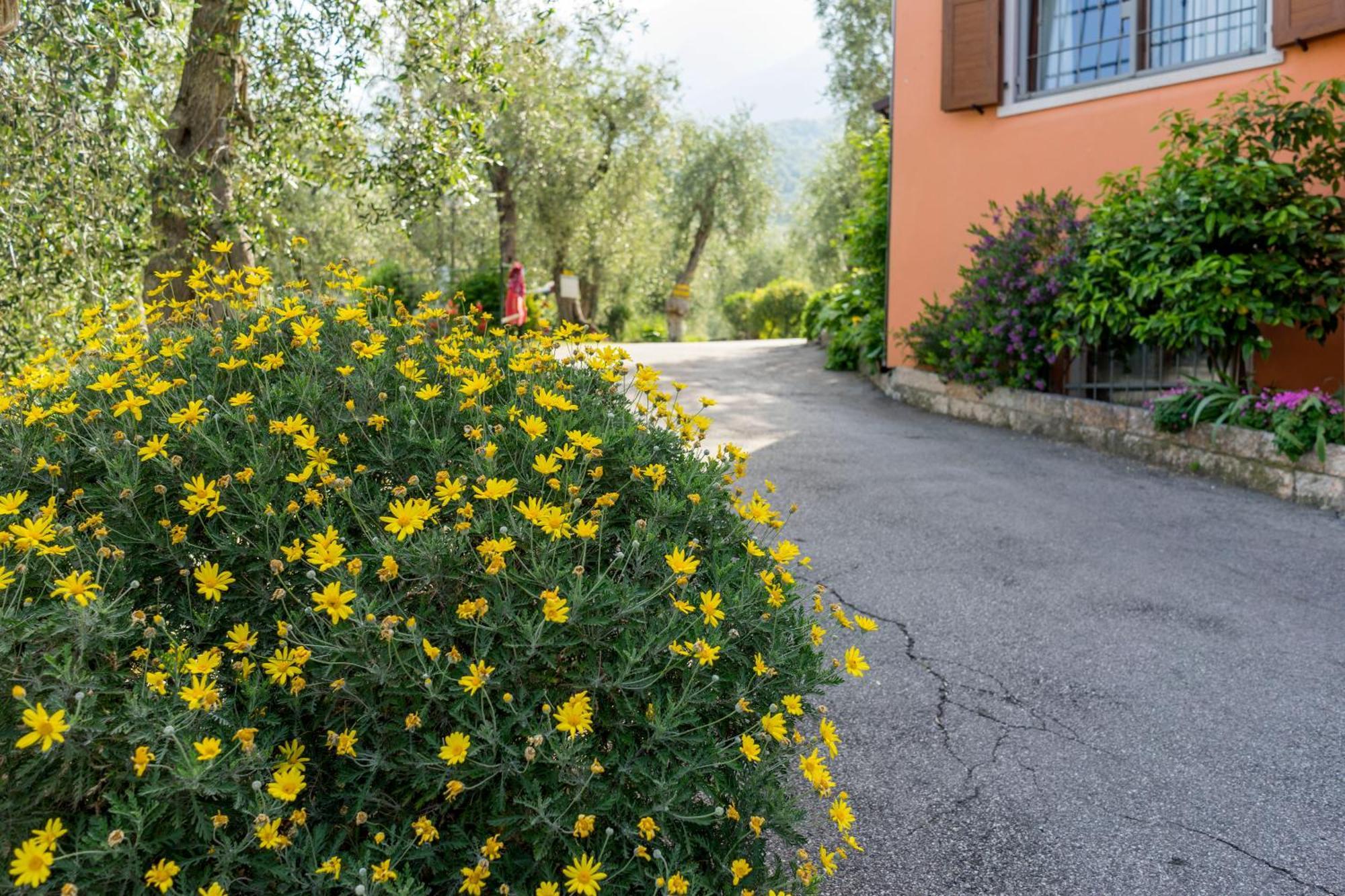 Monja Camping Village Brenzone sul Garda Eksteriør bilde