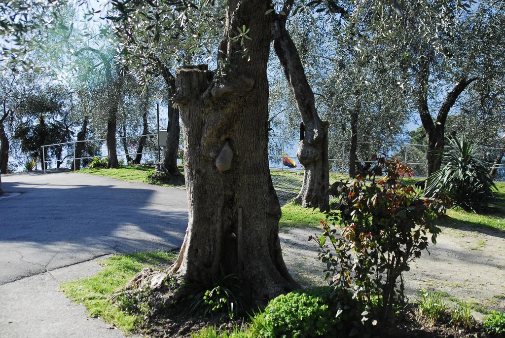 Monja Camping Village Brenzone sul Garda Eksteriør bilde