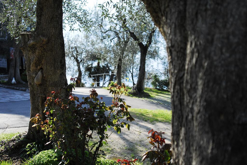Monja Camping Village Brenzone sul Garda Eksteriør bilde